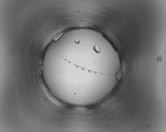 X0000112850397200909041534