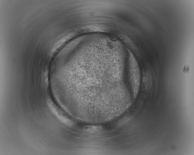 X0000112850398200909041534