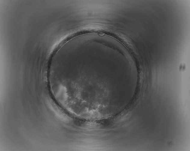 X0000112850399200909041534