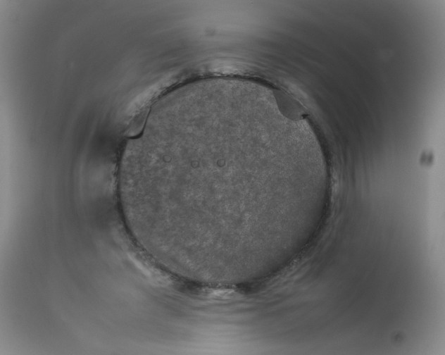 X0000112850401200909041534