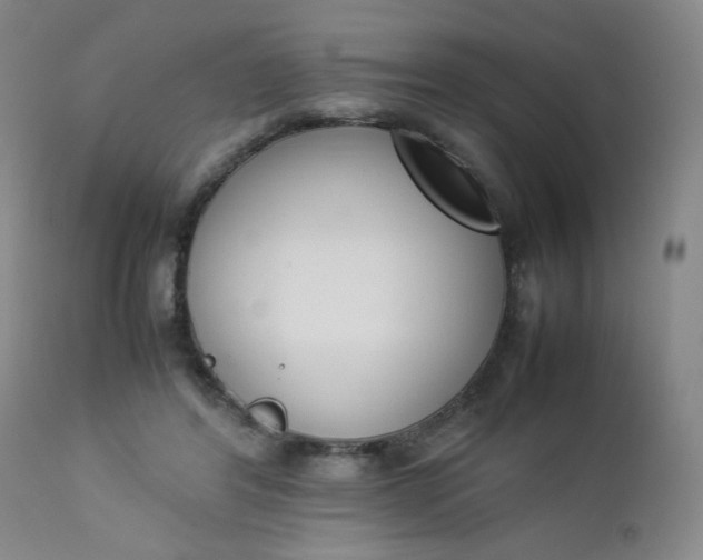 X0000112850404200909041534