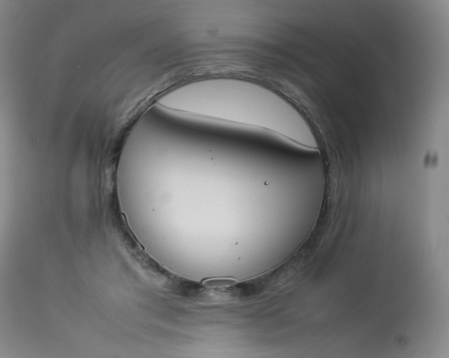 X0000112850405200909041534