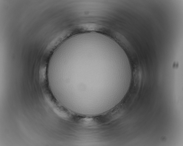 X0000112850406200909041534