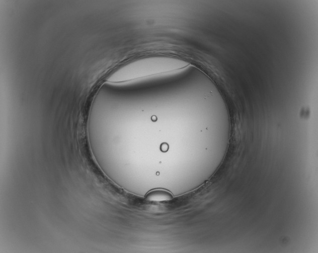 X0000112850411200909041534