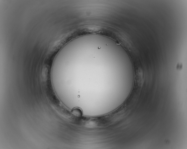 X0000112850412200909041534