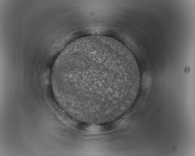 X0000112850413200909041534