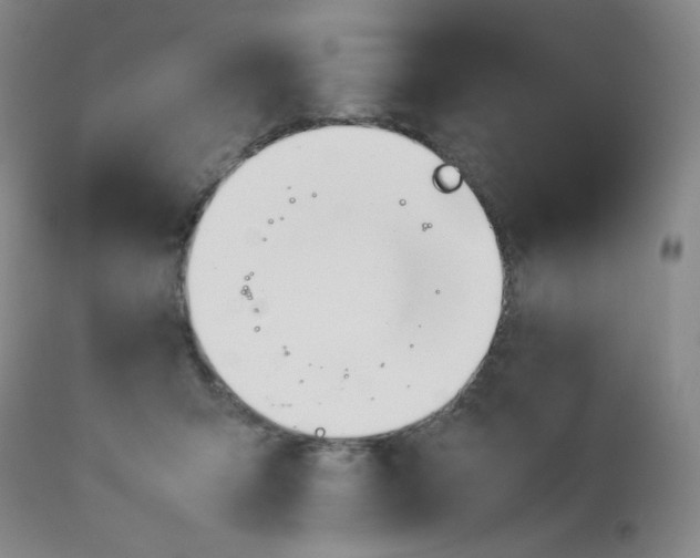 X0000112850415200909041534