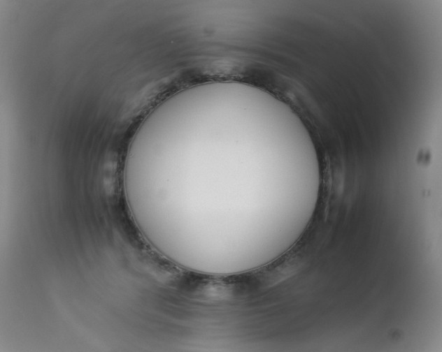 X0000112850416200909041534