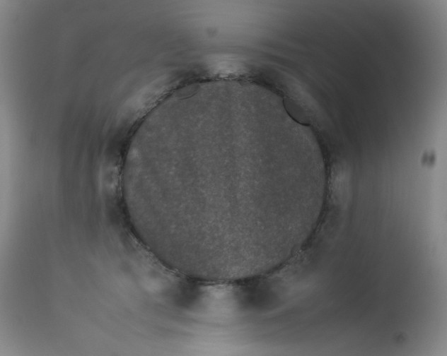 X0000112850417200909041534