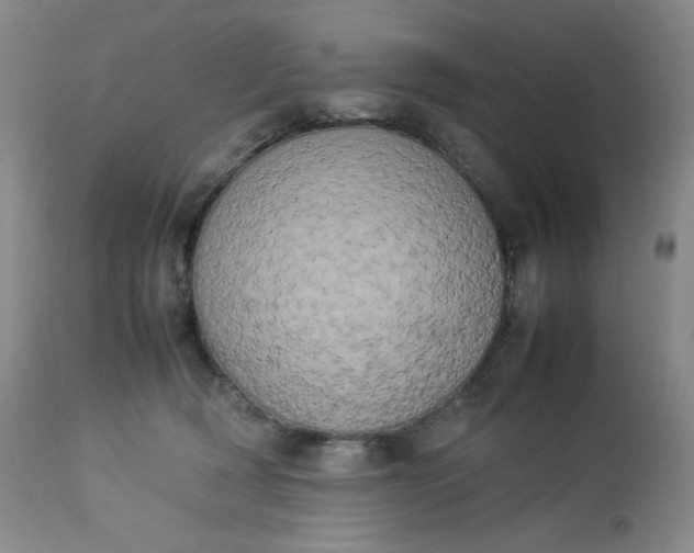 X0000112850418200909041534