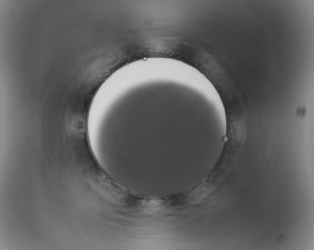 X0000112850419200909041534