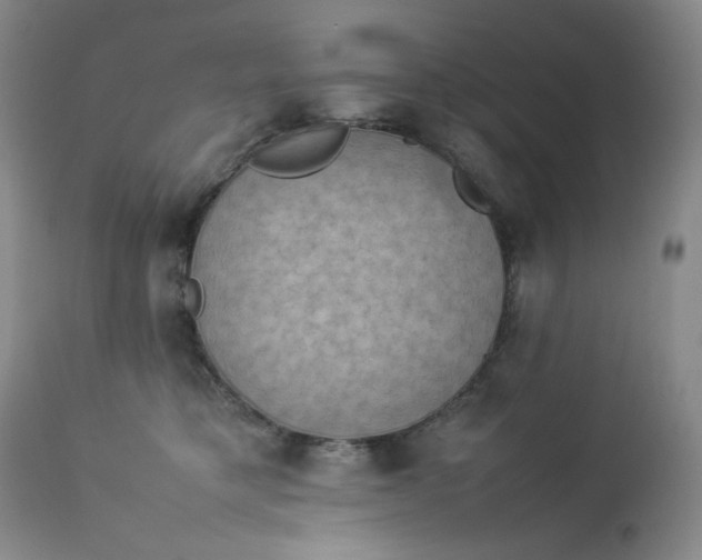 X0000112850421200909041534