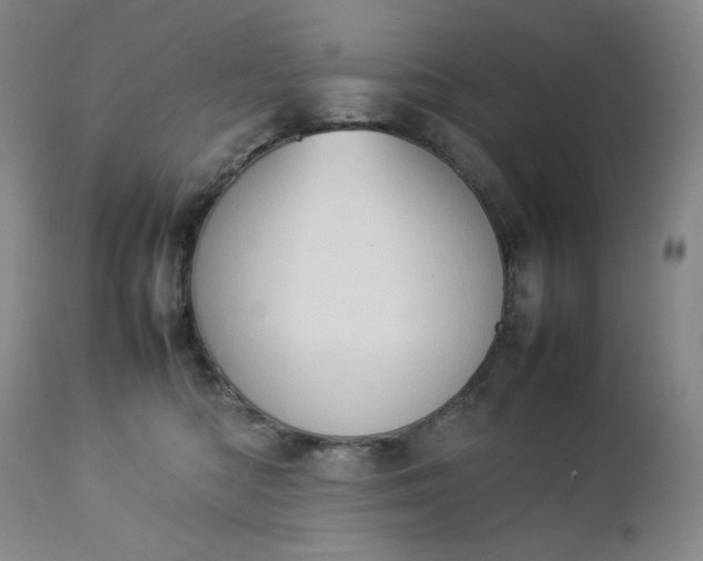 X0000112850422200909041534