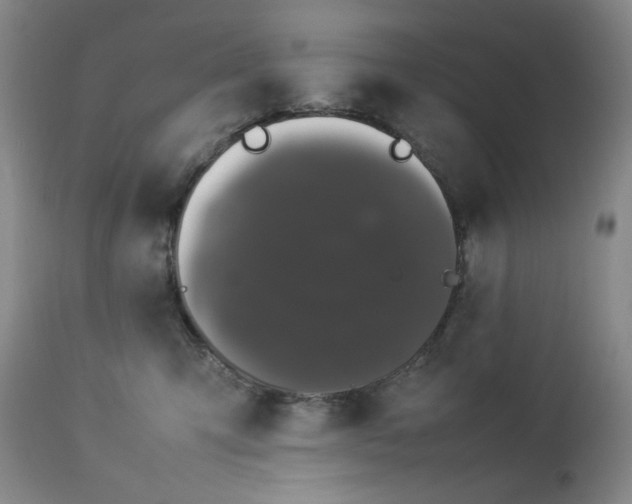 X0000112850423200909041534