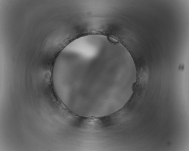 X0000112850427200909041534