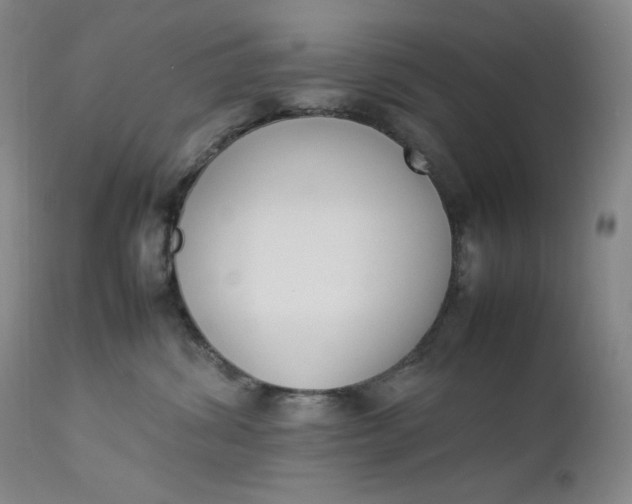 X0000112850428200909041534