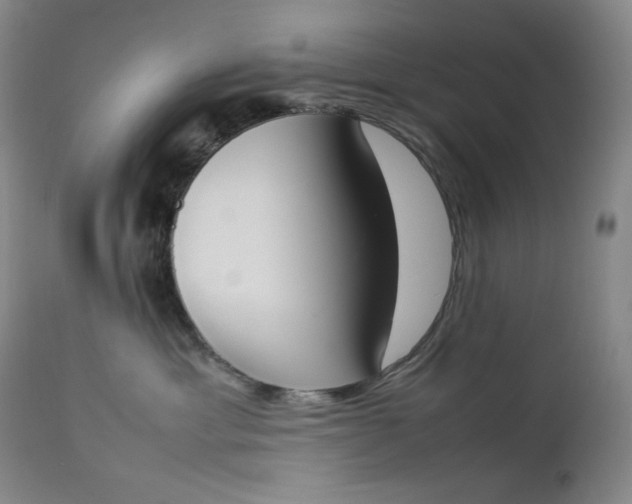 X0000112850429200909041534