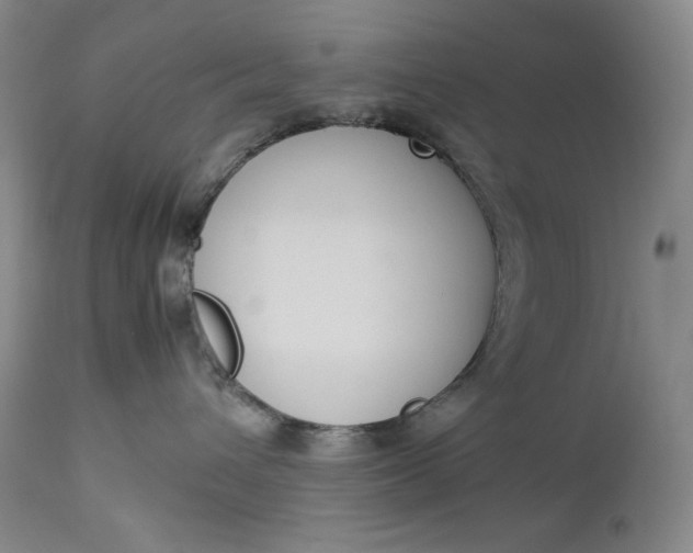 X0000112850432200909041534