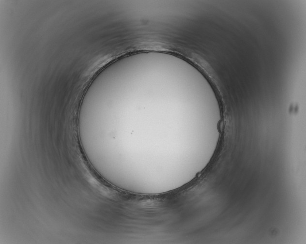 X0000112850433200909041533