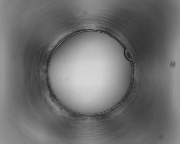 X0000112850434200909041533