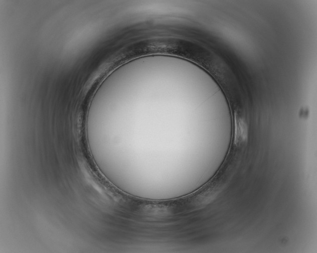 X0000112850435200909041533