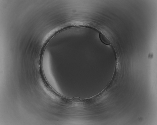 X0000112850438200909041533