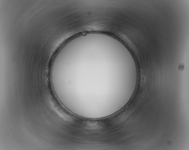 X0000112850439200909041533