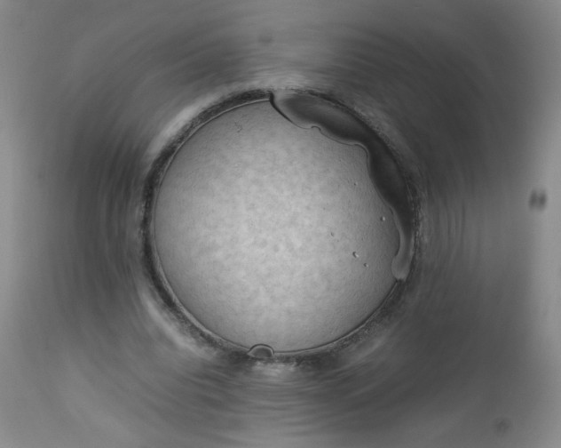 X0000112850440200909041533