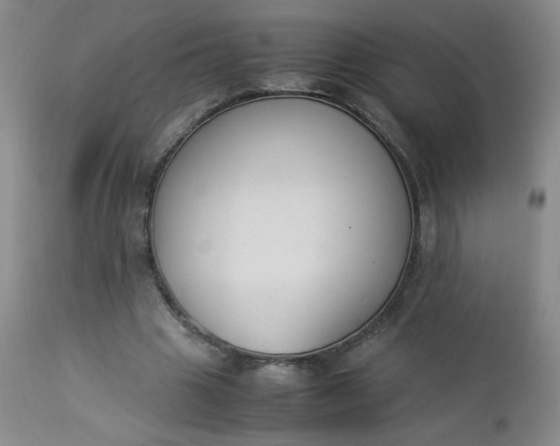 X0000112850441200909041533