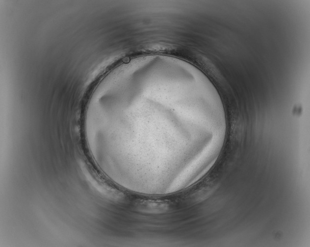 X0000112850443200909041533