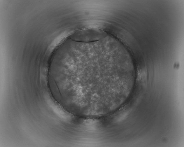 X0000112850444200909041533