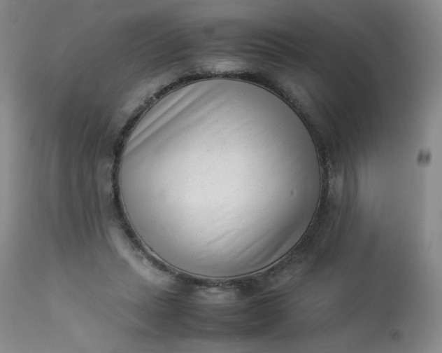 X0000112850447200909041533