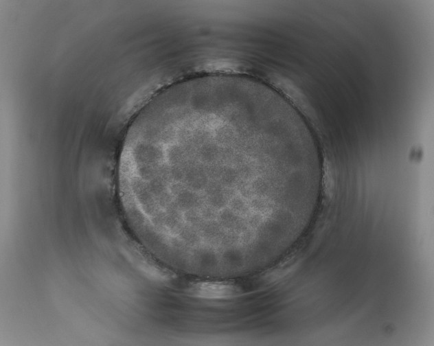 X0000112850449200909041533