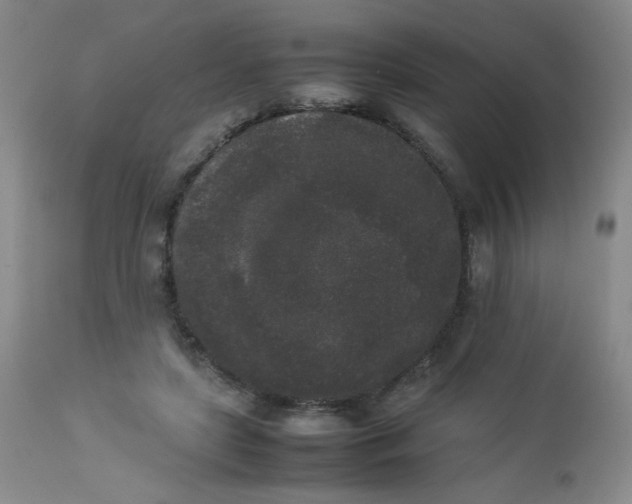 X0000112850451200909041533