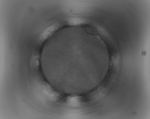 X0000112850452200909041533