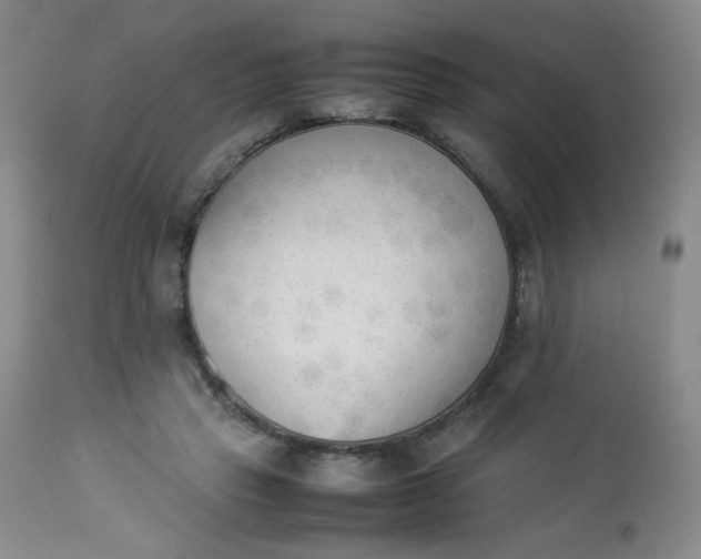 X0000112850453200909041533