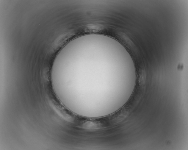 X0000112850455200909041533