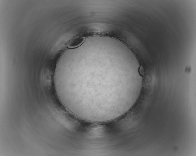 X0000112850456200909041533