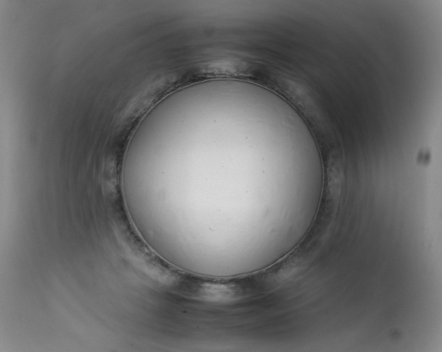 X0000112850457200909041533