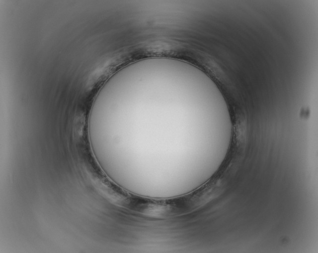 X0000112850458200909041533