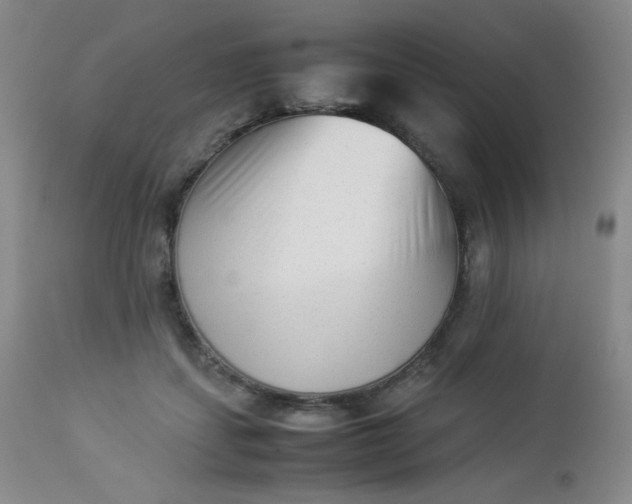 X0000112850459200909041533