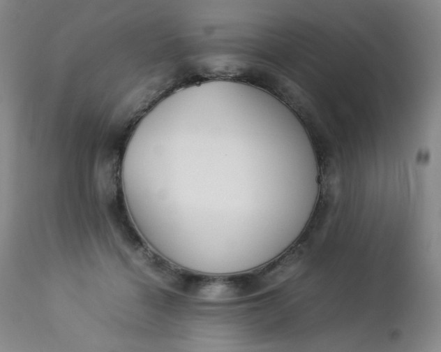 X0000112850460200909041533