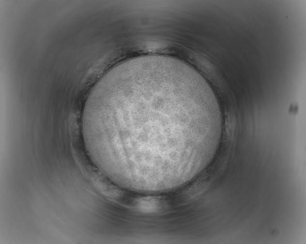 X0000112850461200909041533