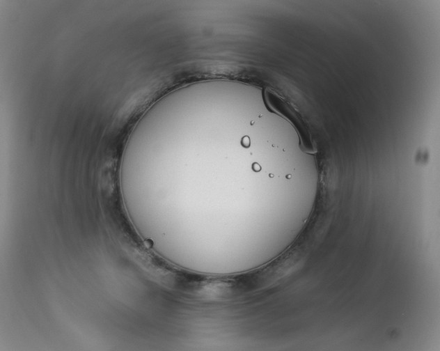 X0000112850462200909041533