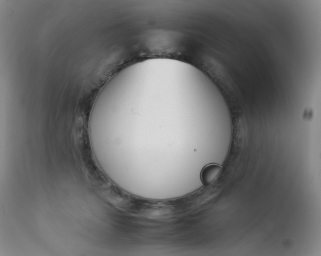 X0000112850463200909041533