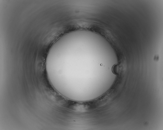 X0000112850464200909041533