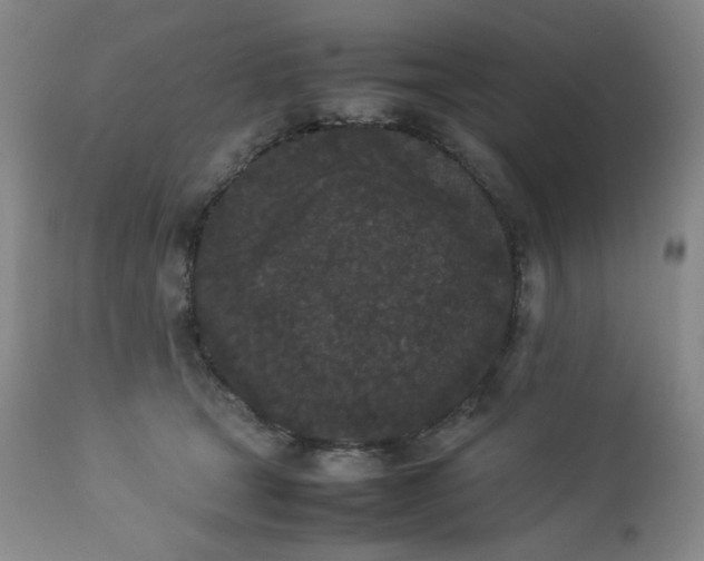 X0000112850465200909041533