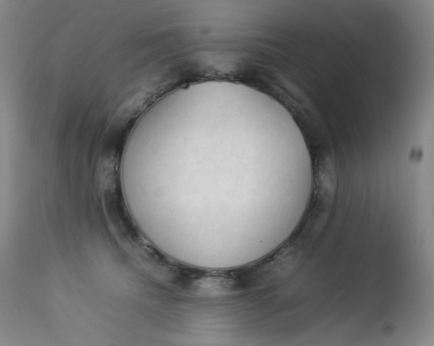 X0000112850468200909041533