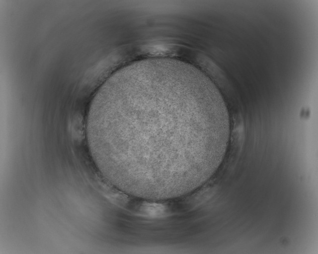 X0000112850469200909041533