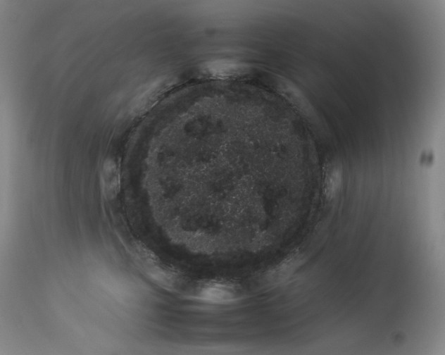 X0000112850471200909041533